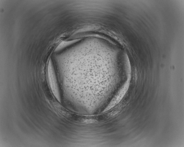 X0000081610360200702121620