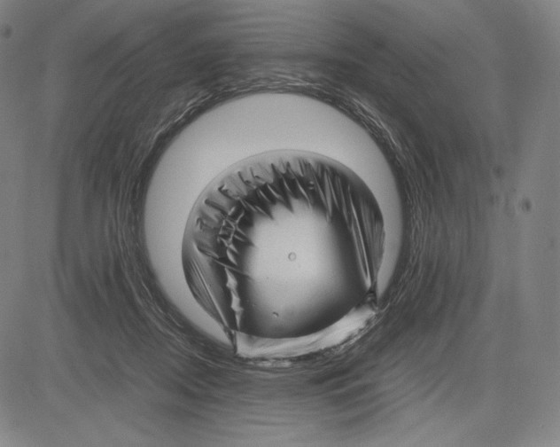 X0000081610362200702121620