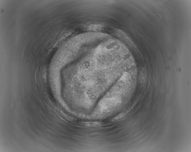 X0000081610363200702121620