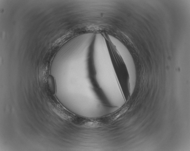 X0000081610364200702121620