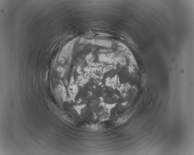 X0000081610365200702121620