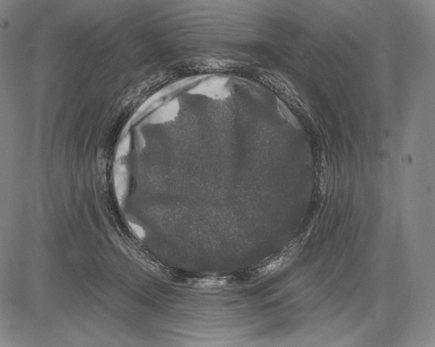 X0000081610366200702121620