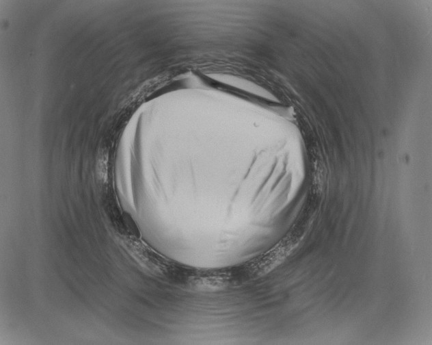 X0000081610368200702121620