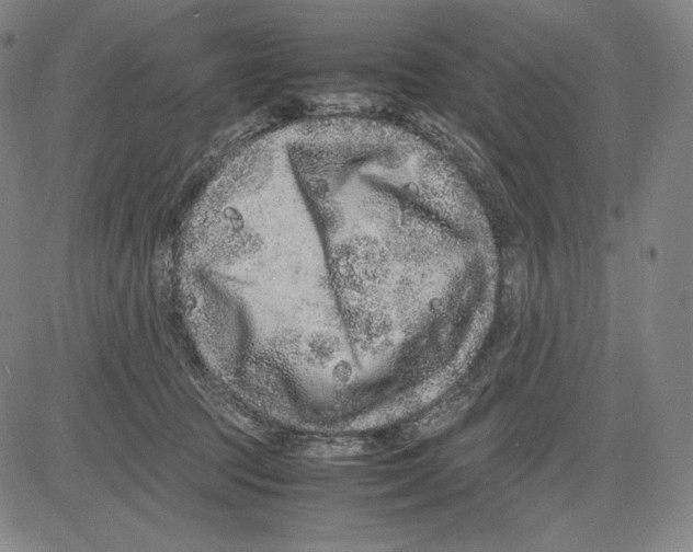 X0000081610369200702121620