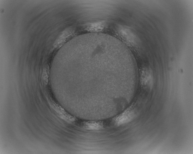 X0000081610370200702121620