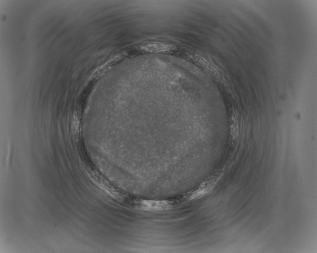 X0000081610371200702121621