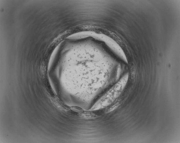 X0000081610372200702121621