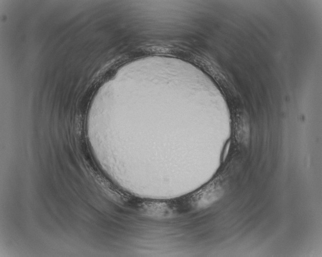 X0000081610374200702121621