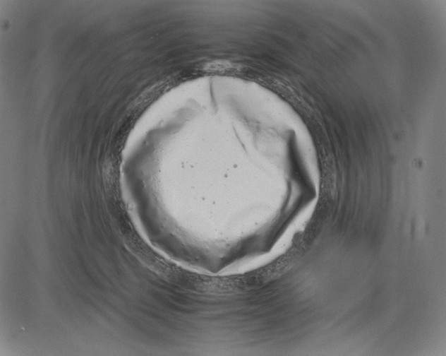 X0000081610375200702121621