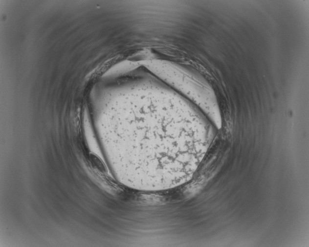 X0000081610376200702121621