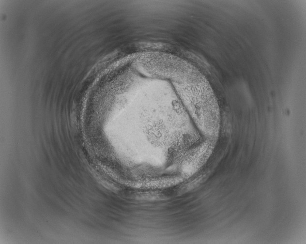 X0000081610377200702121621