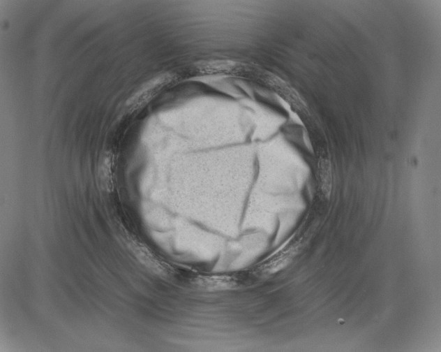 X0000081610378200702121621