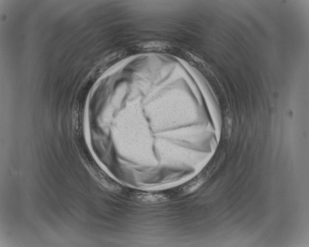 X0000081610379200702121621