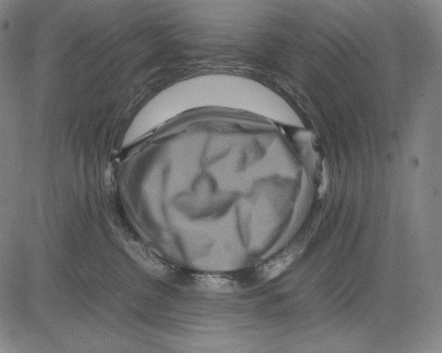 X0000081610380200702121621