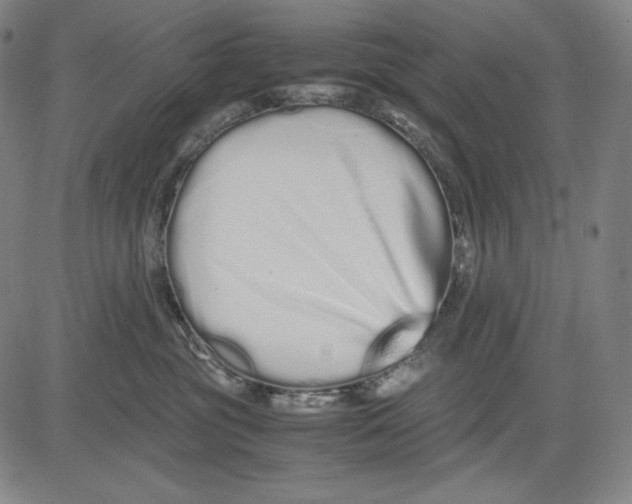 X0000081610381200702121621