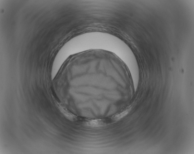 X0000081610382200702121621