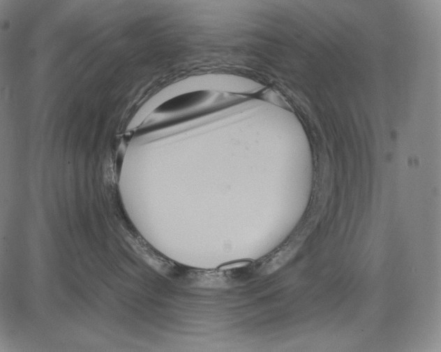 X0000081610384200702121621