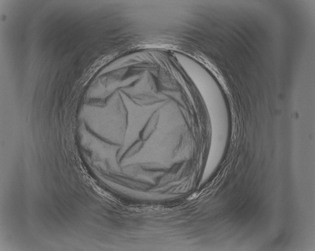 X0000081610385200702121620