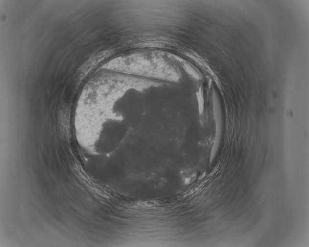 X0000081610386200702121620