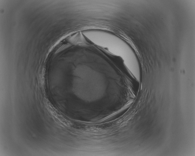 X0000081610387200702121620