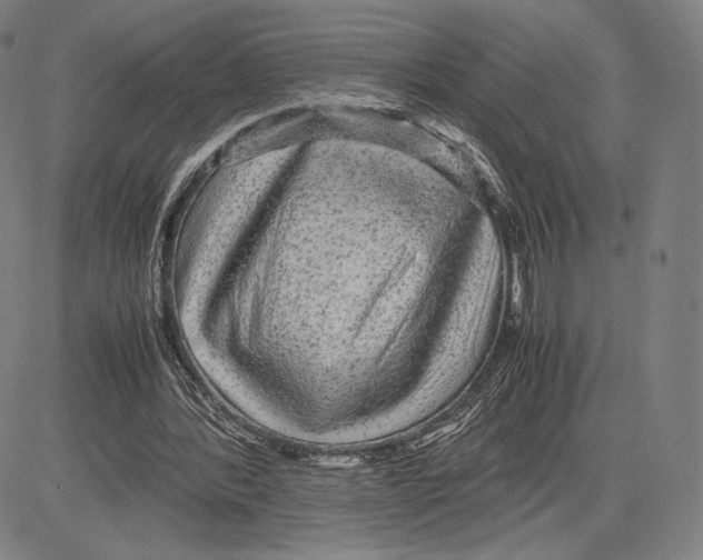 X0000081610388200702121620