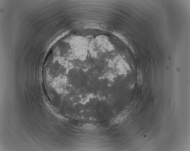 X0000081610390200702121620