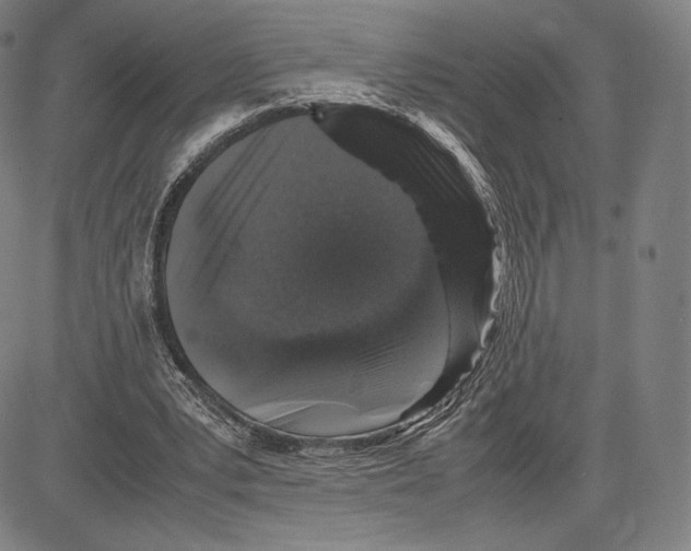 X0000081610391200702121620