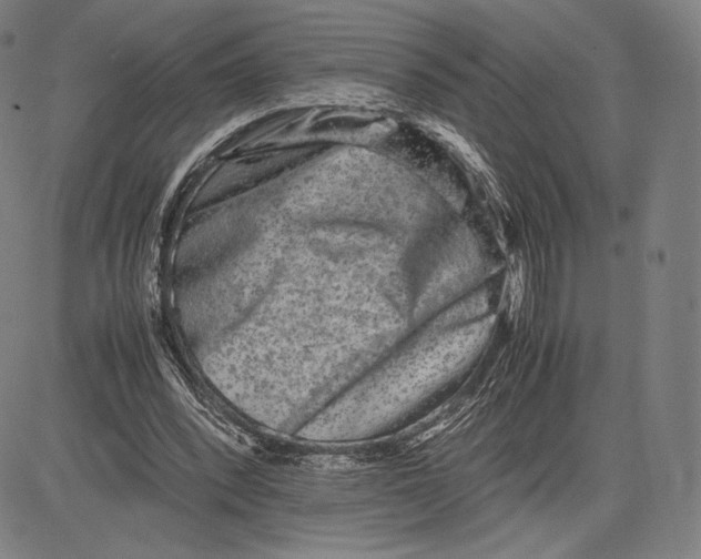 X0000081610392200702121620