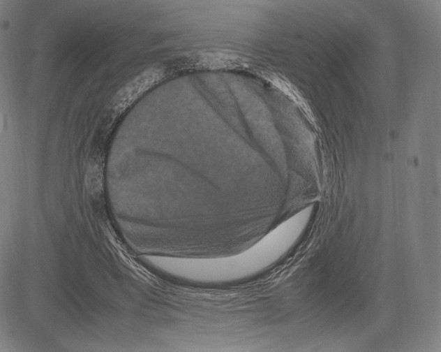 X0000081610393200702121620