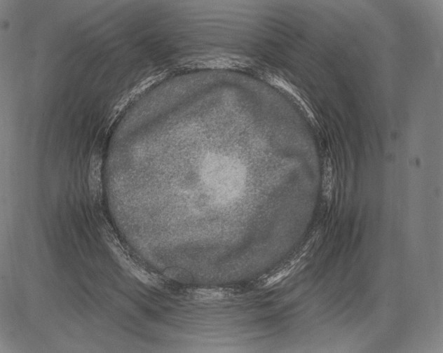 X0000081610394200702121620