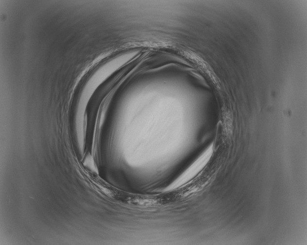 X0000081610395200702121620