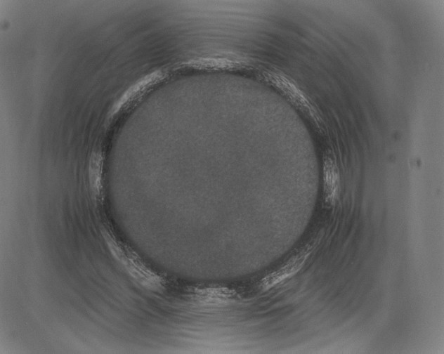 X0000081610396200702121620