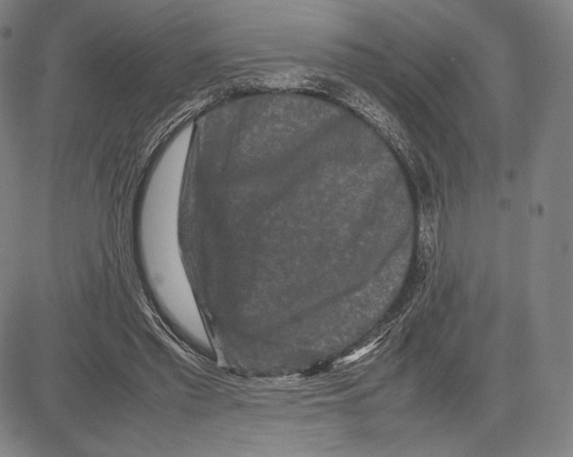 X0000081610397200702121620