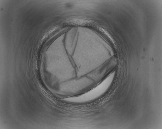 X0000081610399200702121620