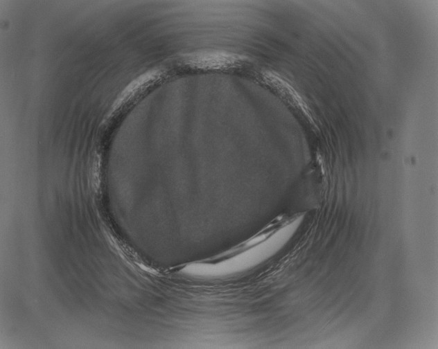 X0000081610400200702121620