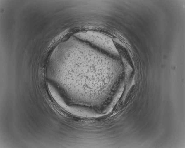 X0000081610401200702121620