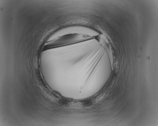 X0000081610403200702121620