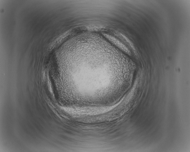 X0000081610405200702121620