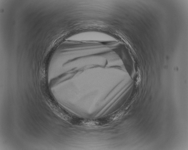 X0000081610407200702121620