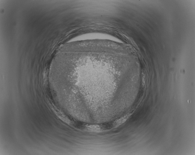 X0000081610409200702121620