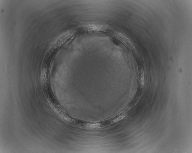 X0000081610410200702121620