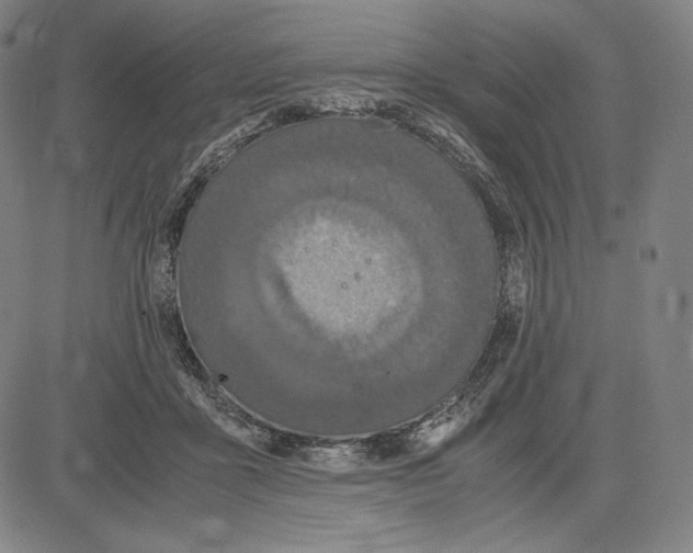 X0000081610411200702121620