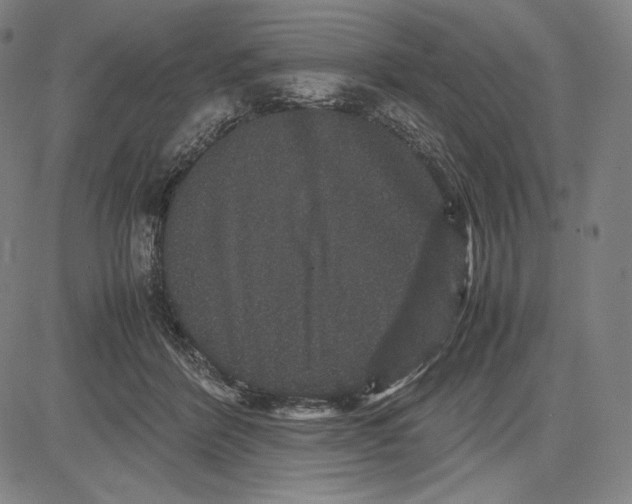 X0000081610412200702121619