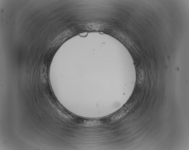 X0000081610414200702121619