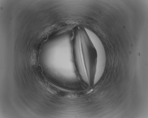 X0000081610416200702121619