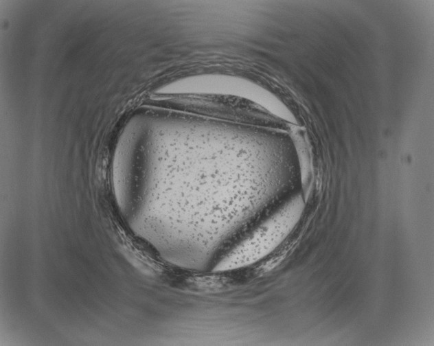 X0000081610417200702121619