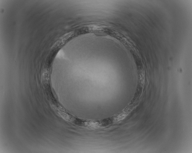 X0000081610419200702121619