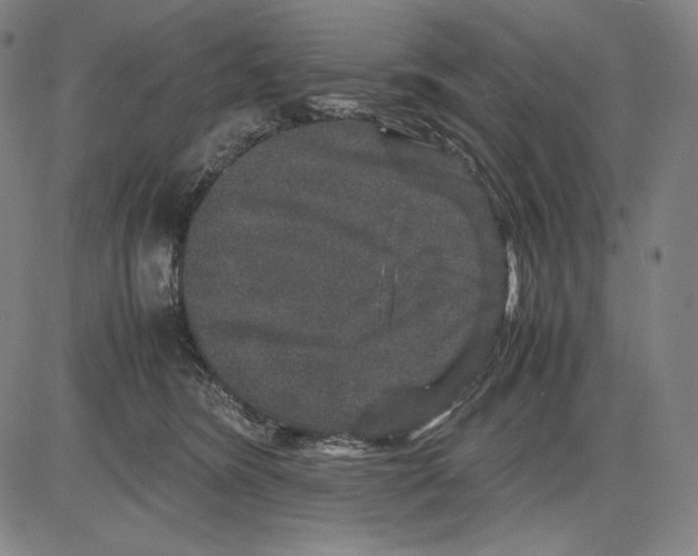 X0000081610420200702121619