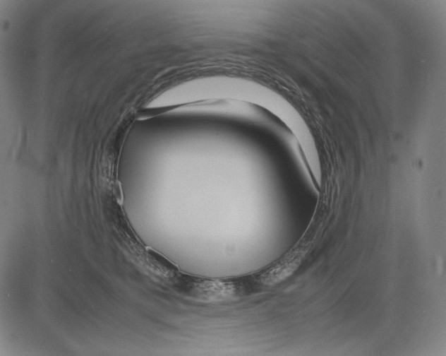 X0000081610421200702121619