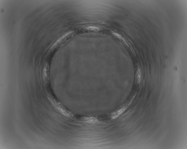 X0000081610424200702121619